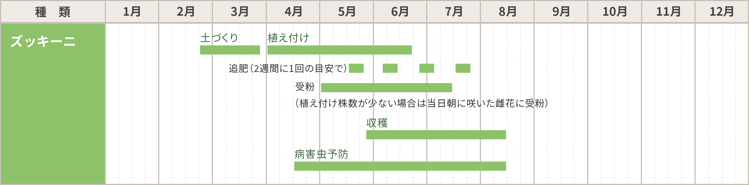 ズッキーニの栽培カレンダー