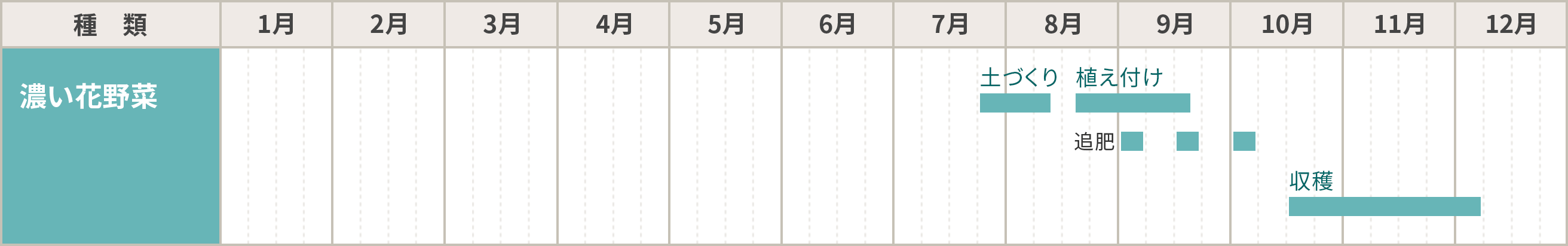 濃い花野菜の栽培カレンダー