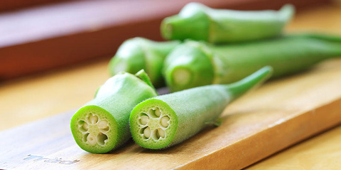 本気野菜オクラ　商品ラインアップ