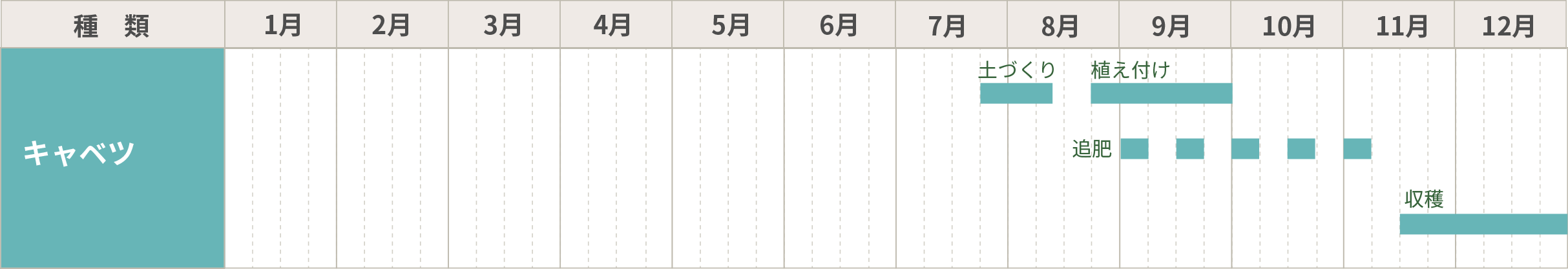 キャベツの栽培カレンダー