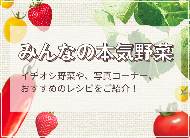 サントリー本気野菜 食べてみたい を育てよう 家庭菜園向け野菜苗 サントリーフラワーズ