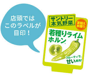 若穫りライムホルン