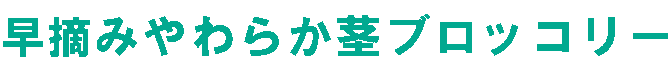 早摘みやわらか茎ブロッコリー