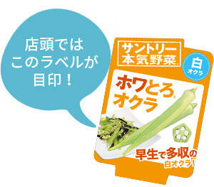 ホワとろオクラ