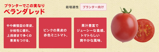 �v�����^�[�ł��̎��Ȃ� �x�����_���b�h