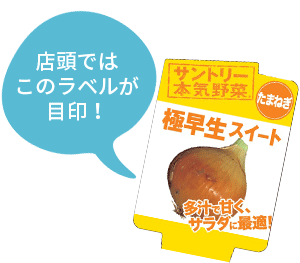 極早生スイート