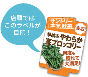 早摘みやわらか茎ブロッコリーのラベル