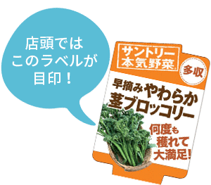 早摘みやわらか茎ブロッコリーのラベル