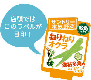 ねりねりオクラ