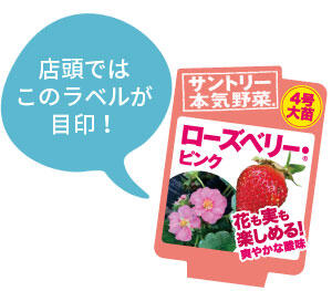 ローズベリー・ピンクラベル