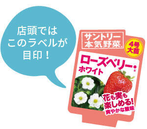 ローズベリー・ホワイトラベル