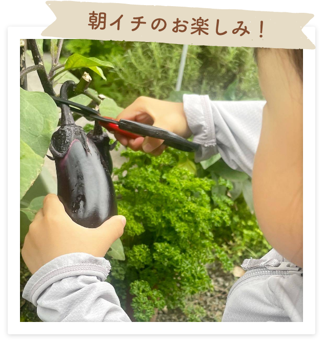 朝イチのお楽しみ！