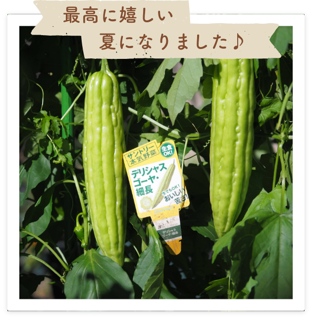 最高に嬉しい夏になりました♪