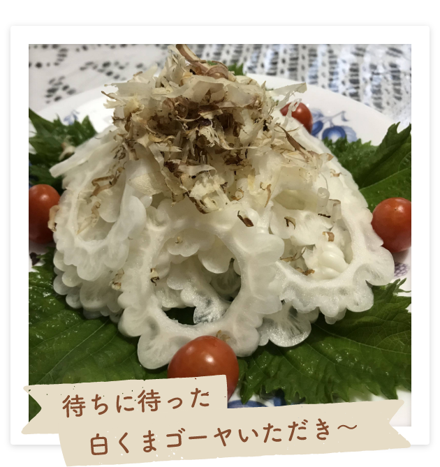 待ちに待った白くまゴーヤいただき〜