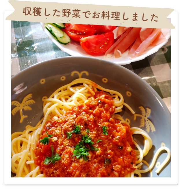 収穫した野菜でお料理しました