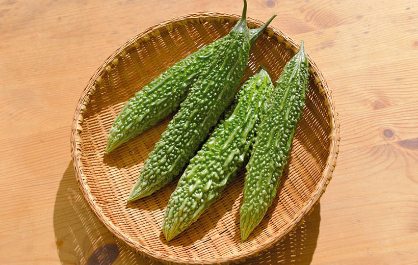 本気野菜ゴーヤ 野菜苗 家庭菜園 サントリーフラワーズ