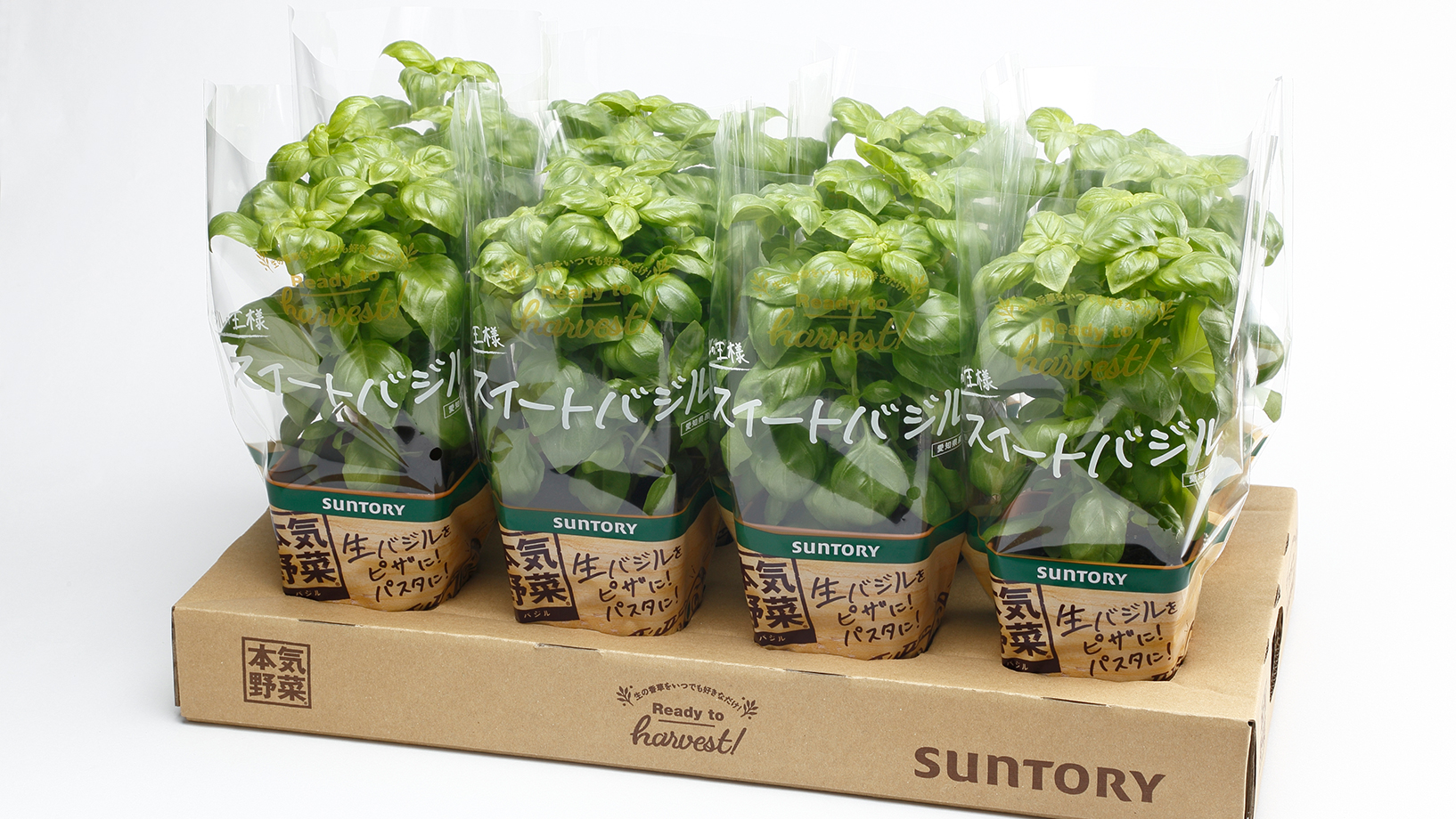 スイートバジル 商品一覧 サントリー 本気野菜