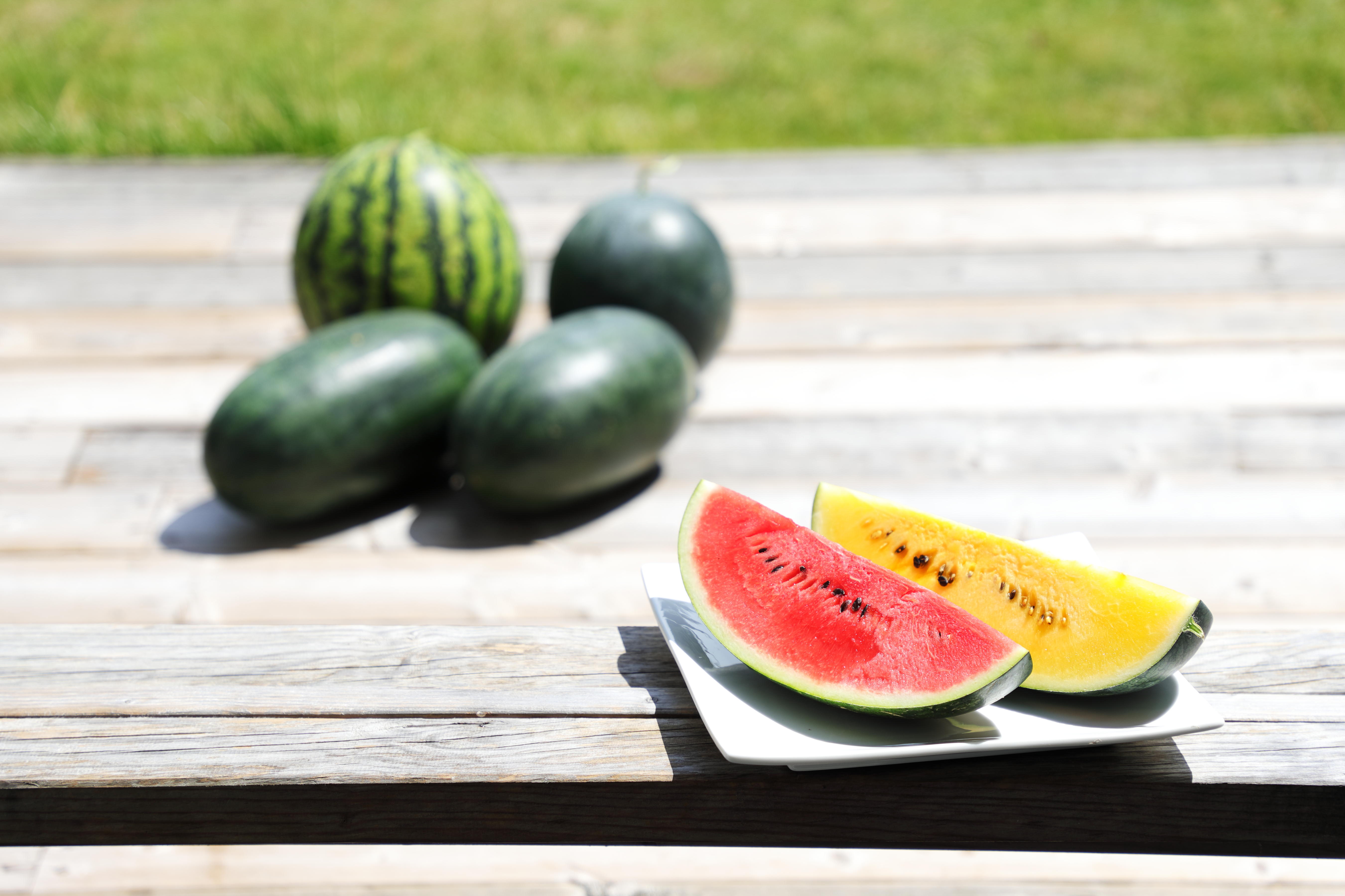 商品画像ダウンロード サントリーフラワーズ