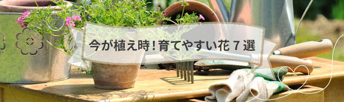 あす花記事更新のお知らせ