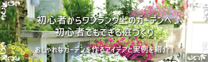 花とおしゃべりブログ更新のお知らせ