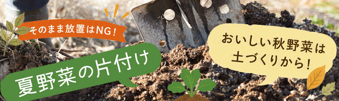 あす花記事更新のお知らせ