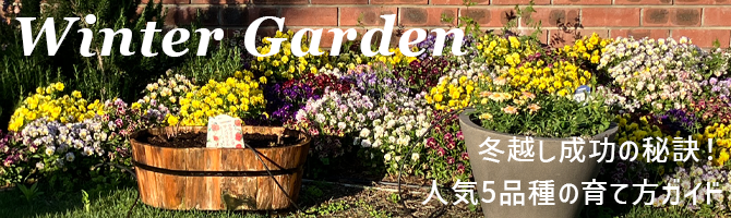 花とおしゃべりブログ更新のお知らせ