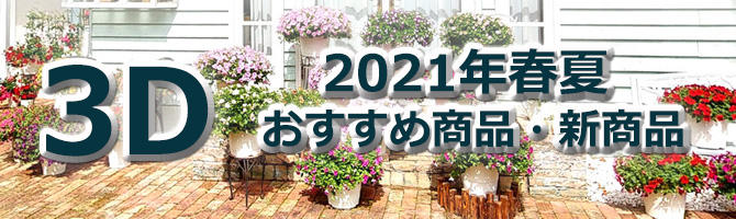 2021年春夏3D商品発表会
