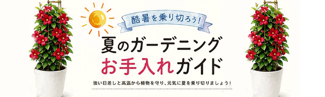 あす花記事更新のお知らせ