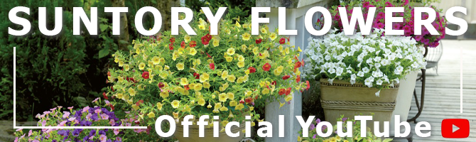 公式YouTubeサントリーフラワーズ社員のお庭紹介