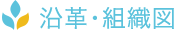 沿革・組織図