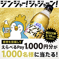 えらべるＰａｙ１,０００円分が当たる！キャンペーンについて