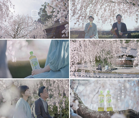 「父とお茶した・春」篇