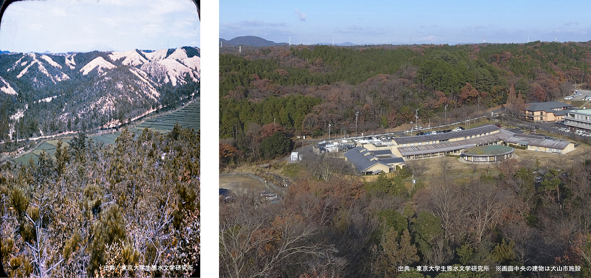 「サントリー 天然水の森 東京大学犬山研究林プロジェクト」の森林整備に関する協定締結
