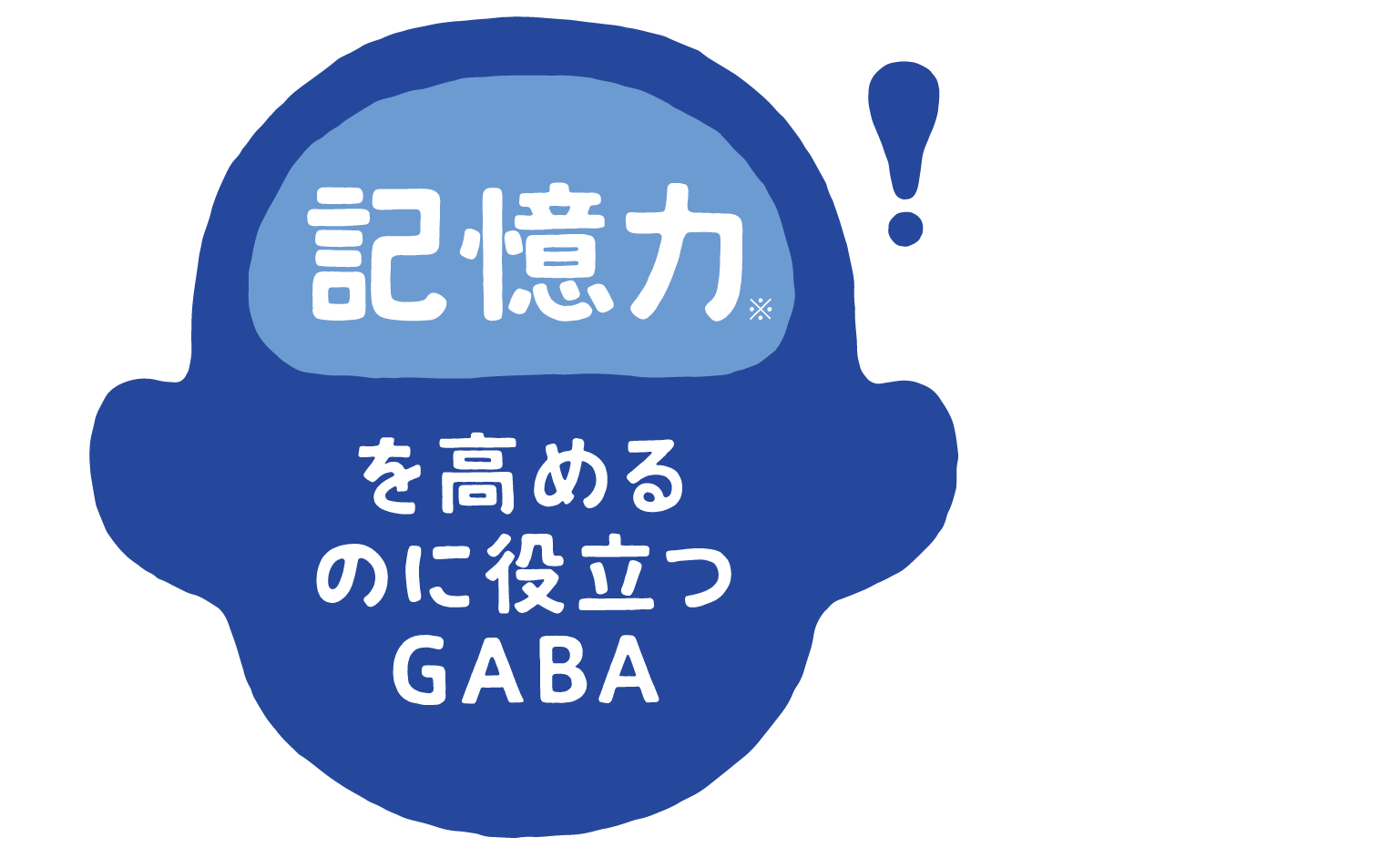 記憶力※を高めるのに役立つGABA