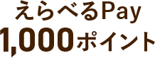 えらべるPay 1,000ポイント