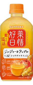 薬膳好日 ジンジャー&アップル ホット 500mlペット