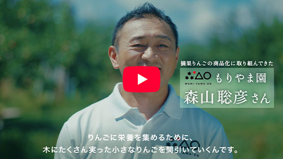 動画を再生する