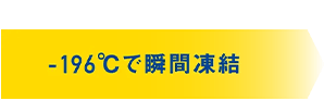 -196℃で瞬間凍結