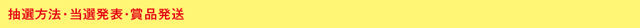 抽選方法・当選発表・賞品発送