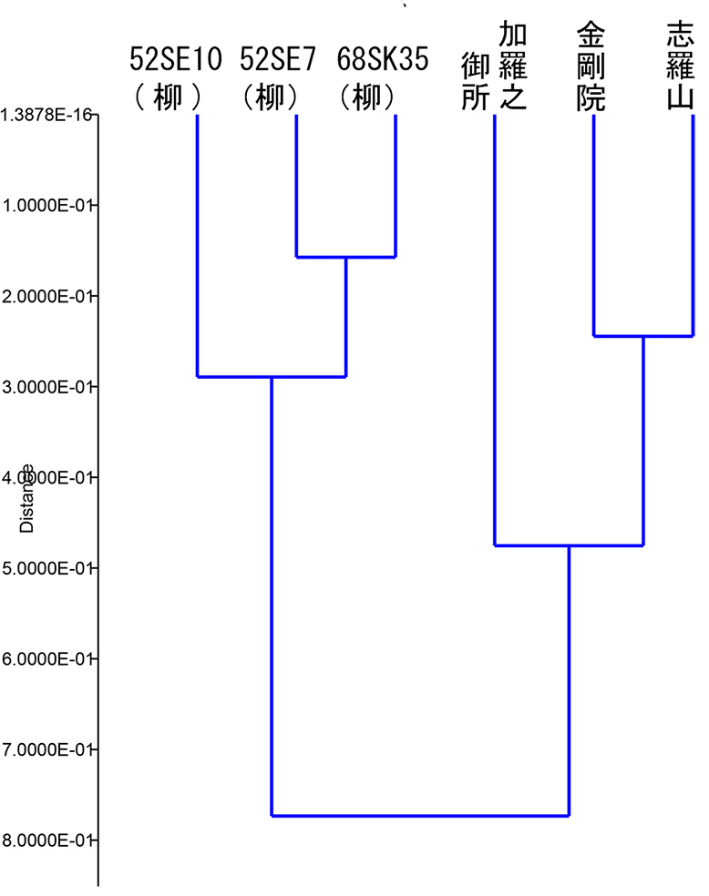 図4 遺跡ごとのクラスター(平泉)