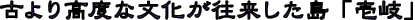 �Â�荂�x�ȕ��������������� �u���v