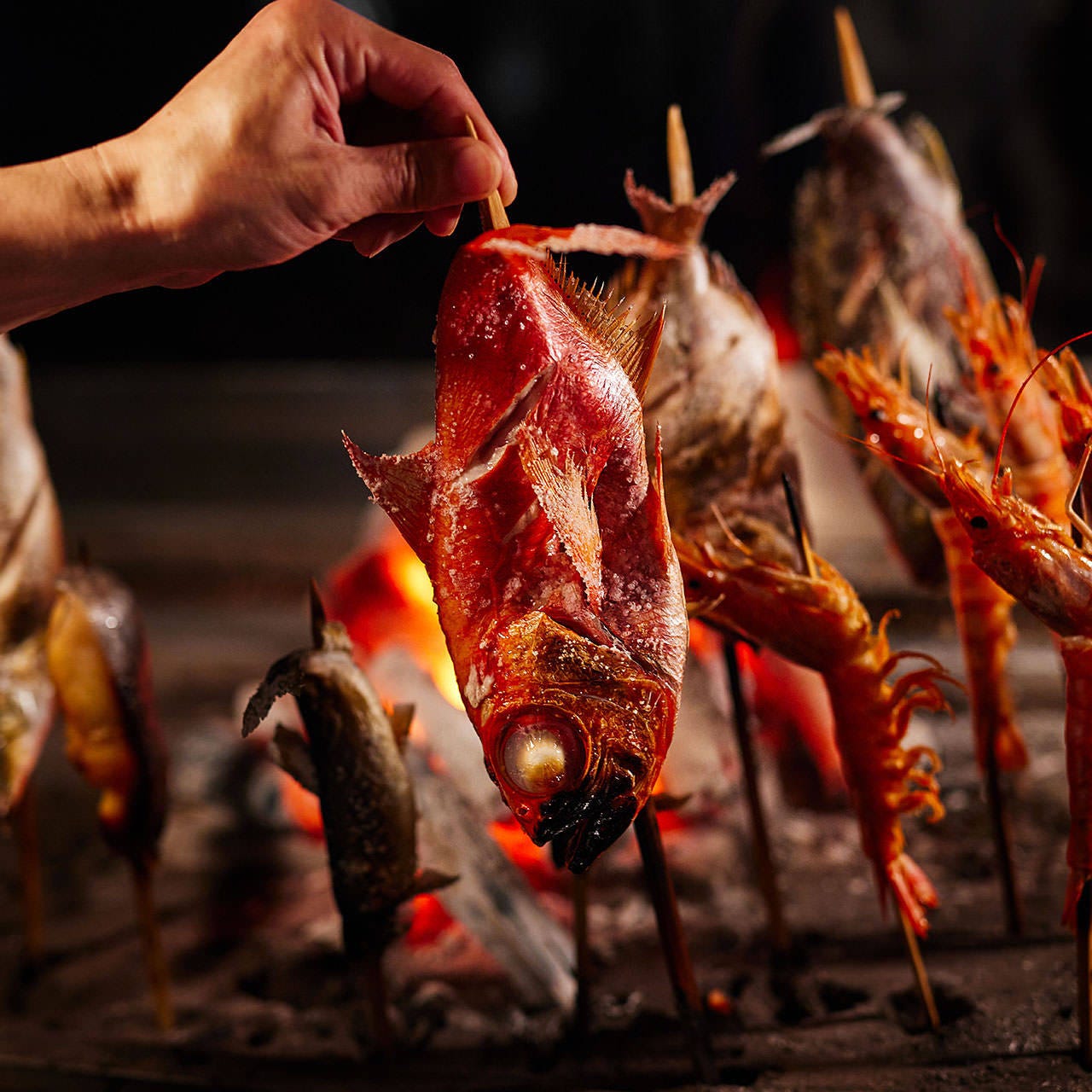 サントリー認定 東京都の人気の神泡超達人店一覧 サントリーグルメガイド