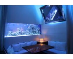 ｄｅｎ アクアルーム新宿 デン アクアルーム シンジュク 新宿 Bar Navi