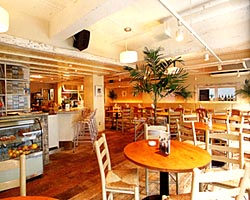 Trattoria Cathy S 自由が丘 イタリア料理 神泡達人店 サントリーグルメガイド