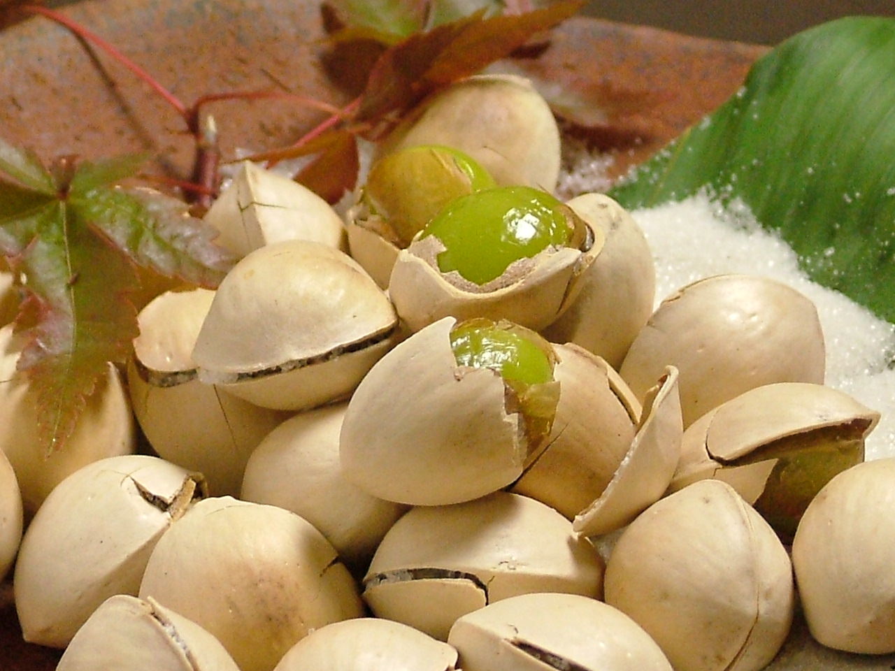 だいがく 明石店 居酒屋 樽生店 サントリーグルメガイド