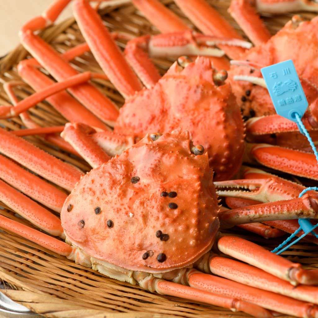 金沢駅/武蔵/東山_武蔵 はな乃_写真
