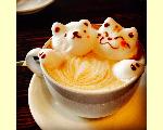 Ｃａｆｅ＆ＤｉｎｉｎｇＢａｒ　珈茶話　ｋａｓｈｉｗａ