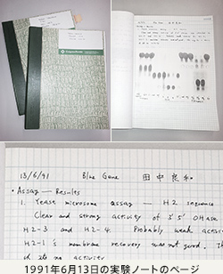 当時の実験ノート