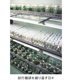 試行錯誤を繰り返す日々