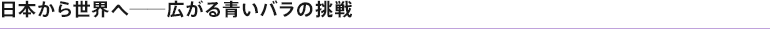 日本から世界へ──広がる青いバラの挑戦